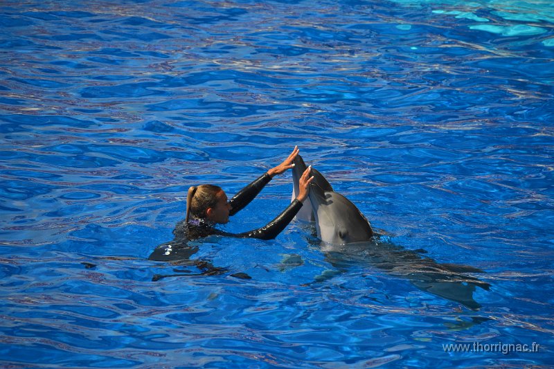 Marineland aout 2014 39.JPG - Marineland - Parc d'attractions aquatiques - Antibes - Août 2014
